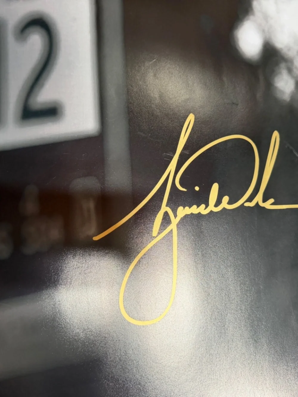 Tiger Woods Poster autographed  image 24 x 30